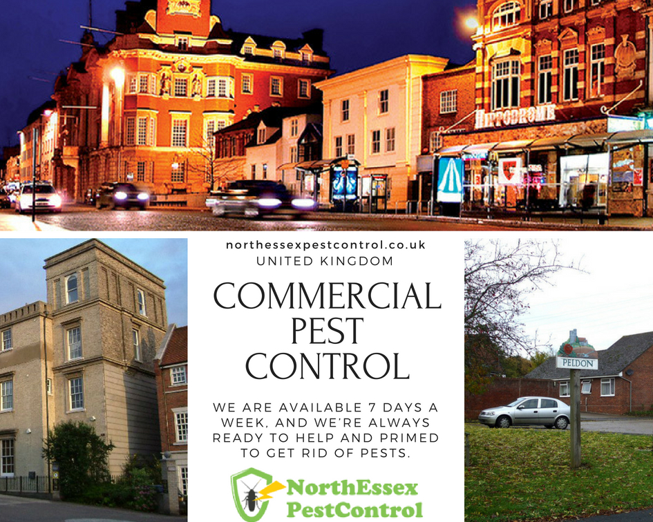 Commercial Pest Control(1)